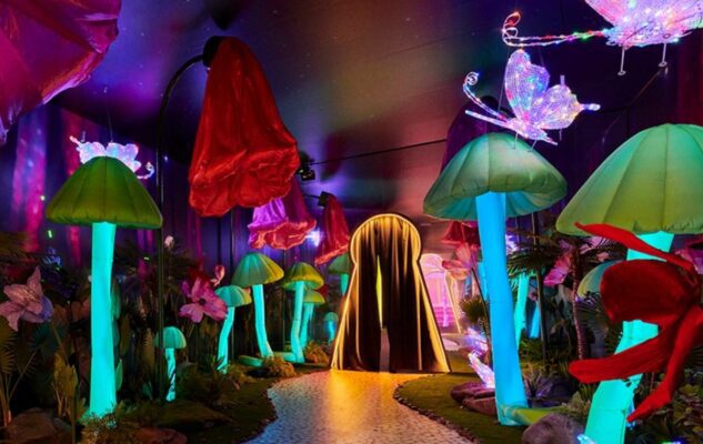 Museum of Dreamers a Roma nel 2023/2024: una foresta incantata, giochi di luce ed effetti speciali