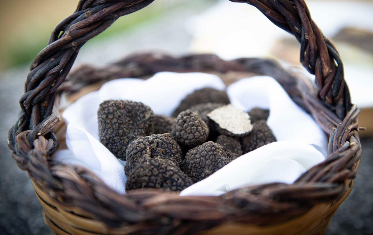 Sagra del Tartufo di Canterano 2024