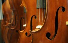 Family Concert 2025 all'Auditorium Parco della Musica di Roma: date e biglietti