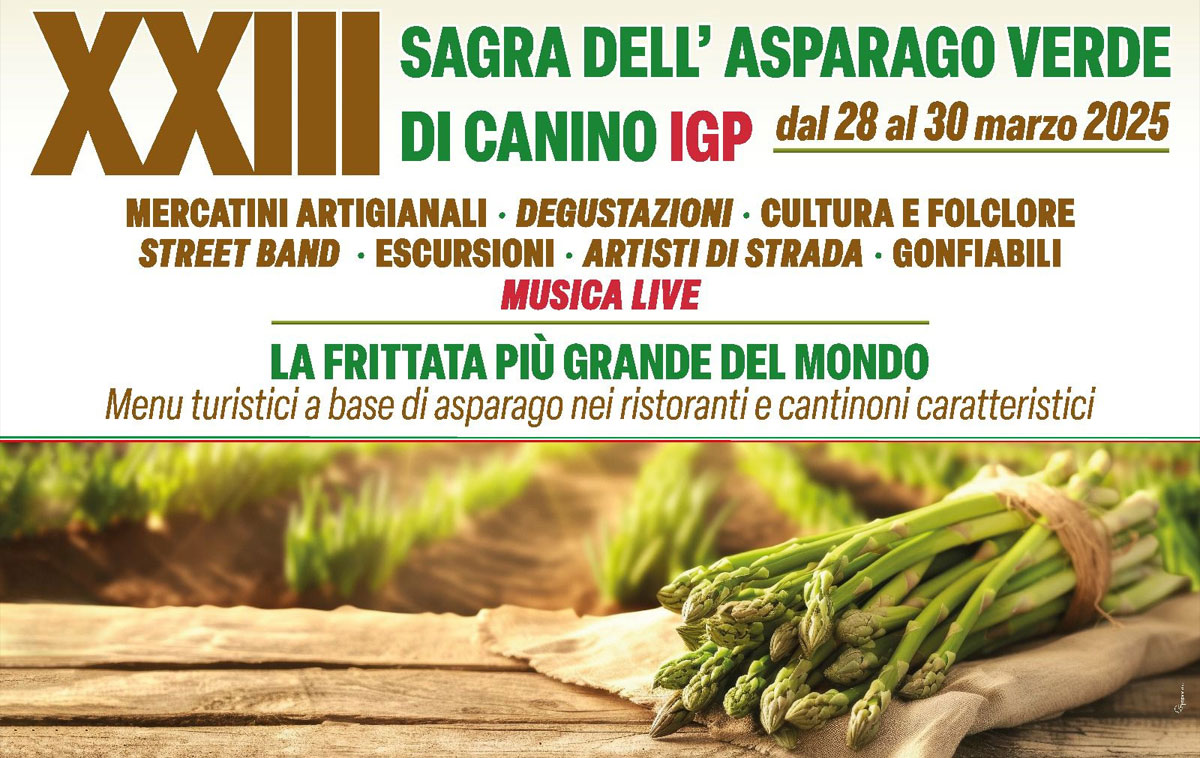 Sagra dell'Asparago Verde di Canino 2025