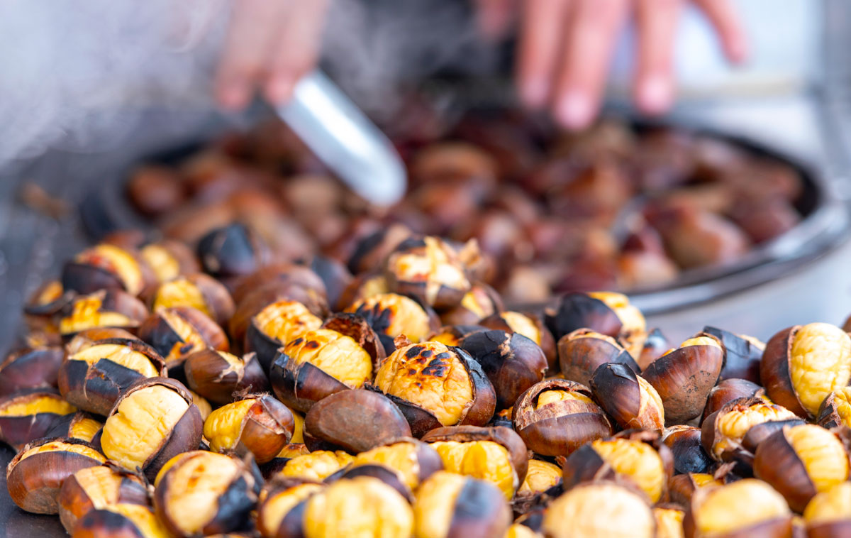 Sagra delle Castagne e del Prodotto Tipico 2025 a Norma