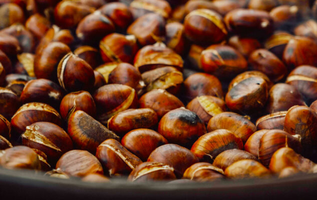Sagra delle Castagne 2025 a Rocca di Papa