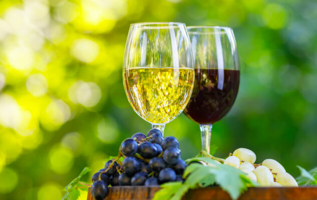 Sagra del Vino di Testaccio 2025 a Roma