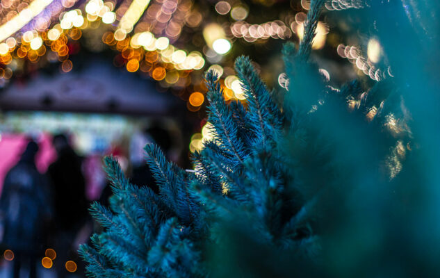 Il Paese di Babbo Natale 2025 a Collalto Sabino