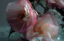 “La Traviata”: il capolavoro di Verdi torna in scena al Teatro dell’Opera di Roma