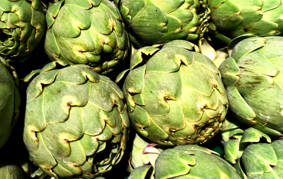 Sagra del Carciofo Romanesco 2026 di Ladispoli