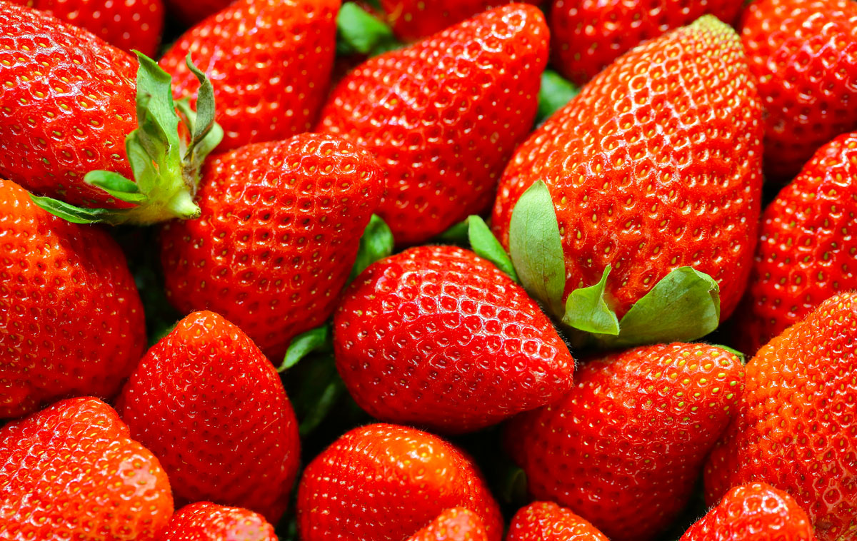 Fragole