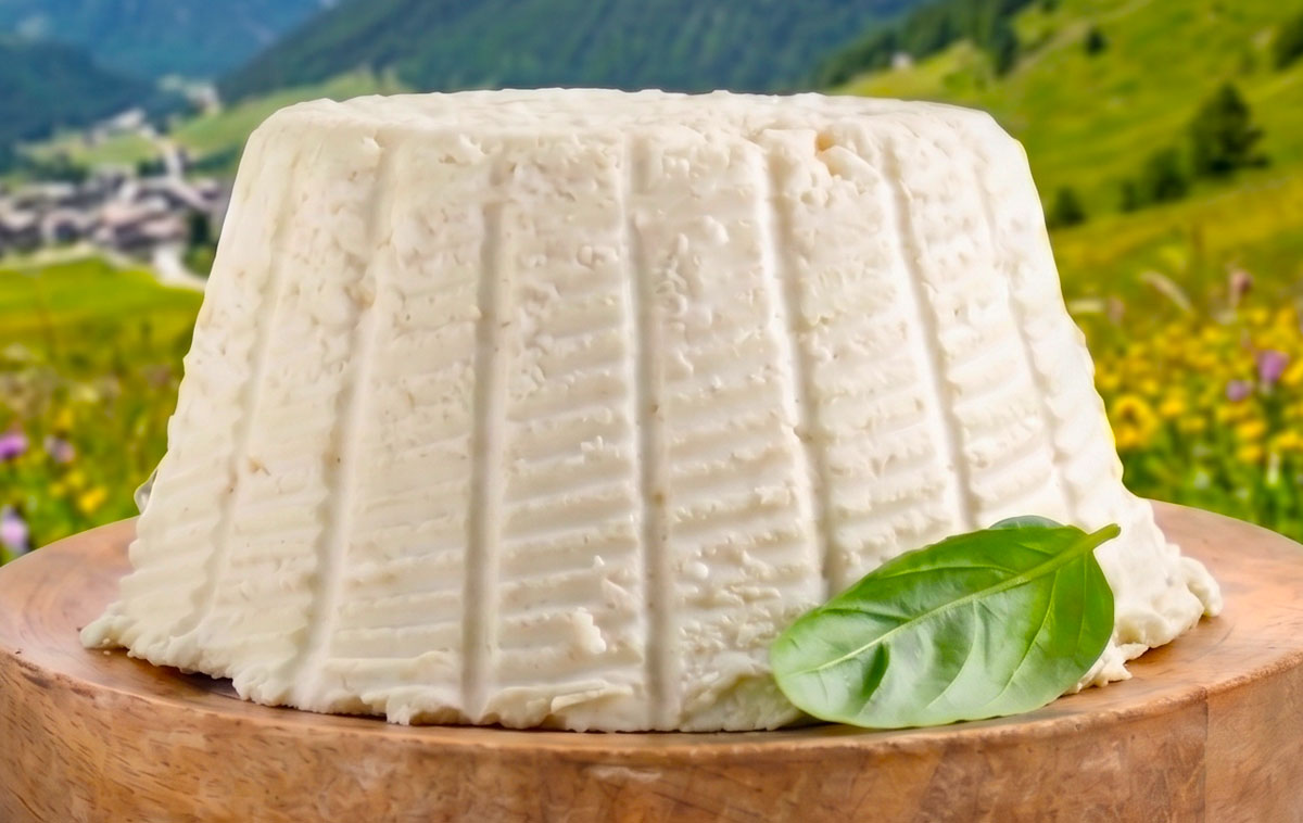 Ricotta
