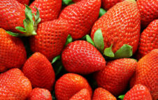 Sagra delle Fragole 2026: il programma completo dalle sfilate ai fuochi d'artificio