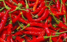 Fiera del Peperoncino di Rieti: 10 giorni di stand e concerti gratuiti (Baby K, Rocco Hunt, Samurai Jay...)
