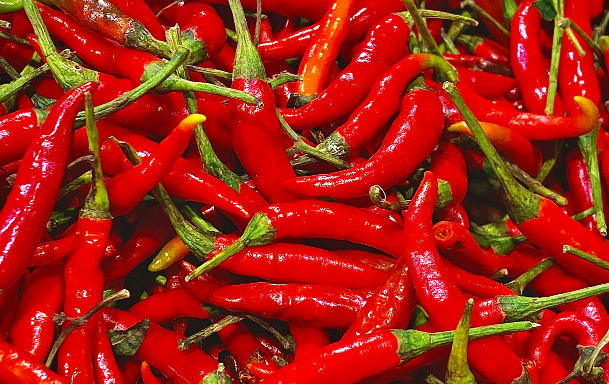 Peperoncini