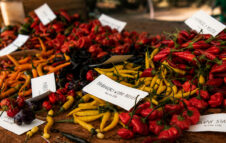HOTtobre Piccante: a Roma il festival dedicato al peperoncino tra gare di mangiatori e show cooking
