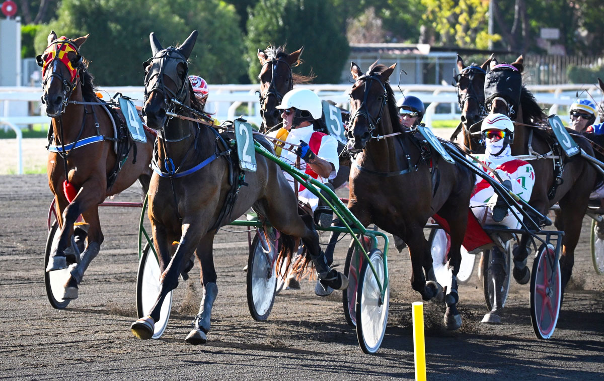 Gara di cavalli all'Ippodromo delle Capannelle